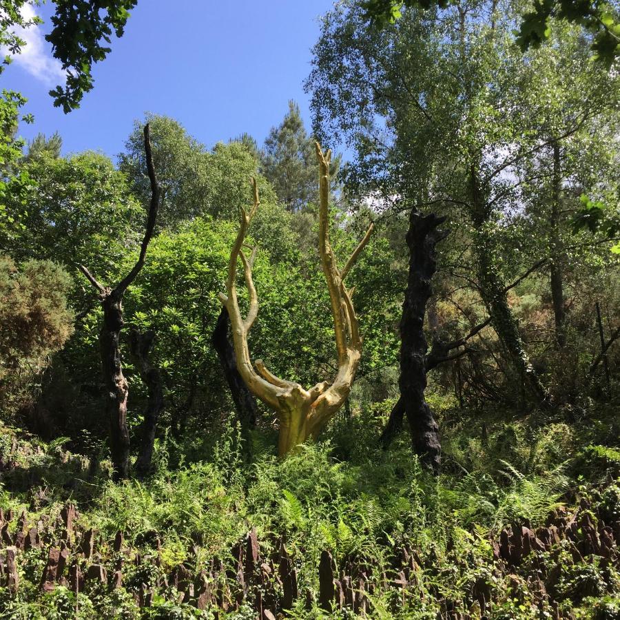 L'Hotie De Broceliande, Au Coeur Des Sites Naturels Et Legendaires Paimpont Exteriér fotografie