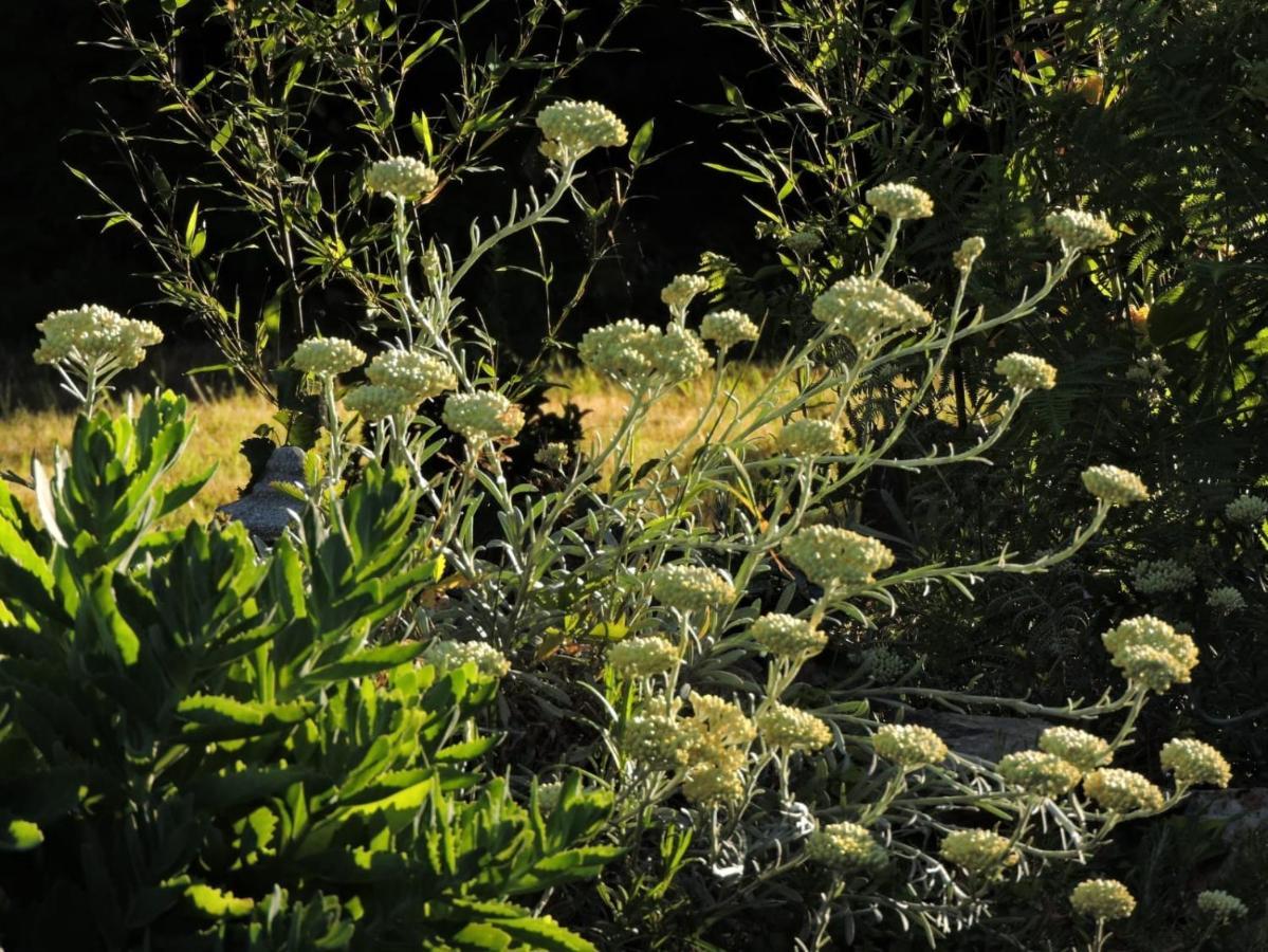 L'Hotie De Broceliande, Au Coeur Des Sites Naturels Et Legendaires Paimpont Exteriér fotografie