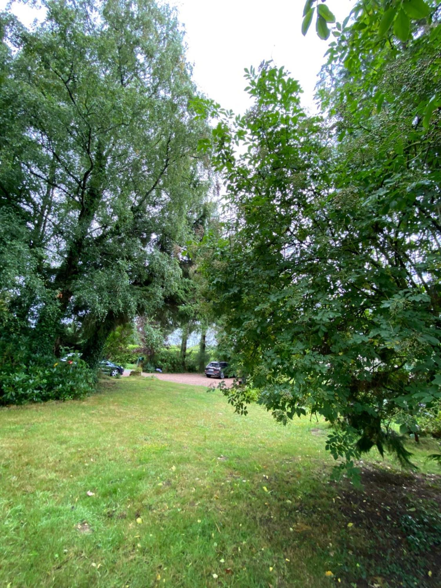 L'Hotie De Broceliande, Au Coeur Des Sites Naturels Et Legendaires Paimpont Exteriér fotografie