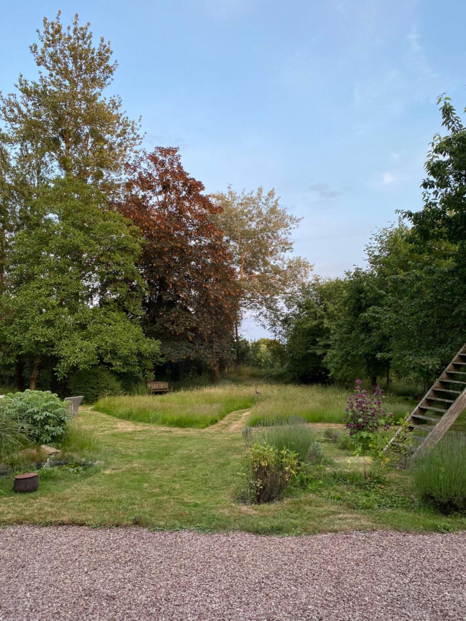 L'Hotie De Broceliande, Au Coeur Des Sites Naturels Et Legendaires Paimpont Exteriér fotografie