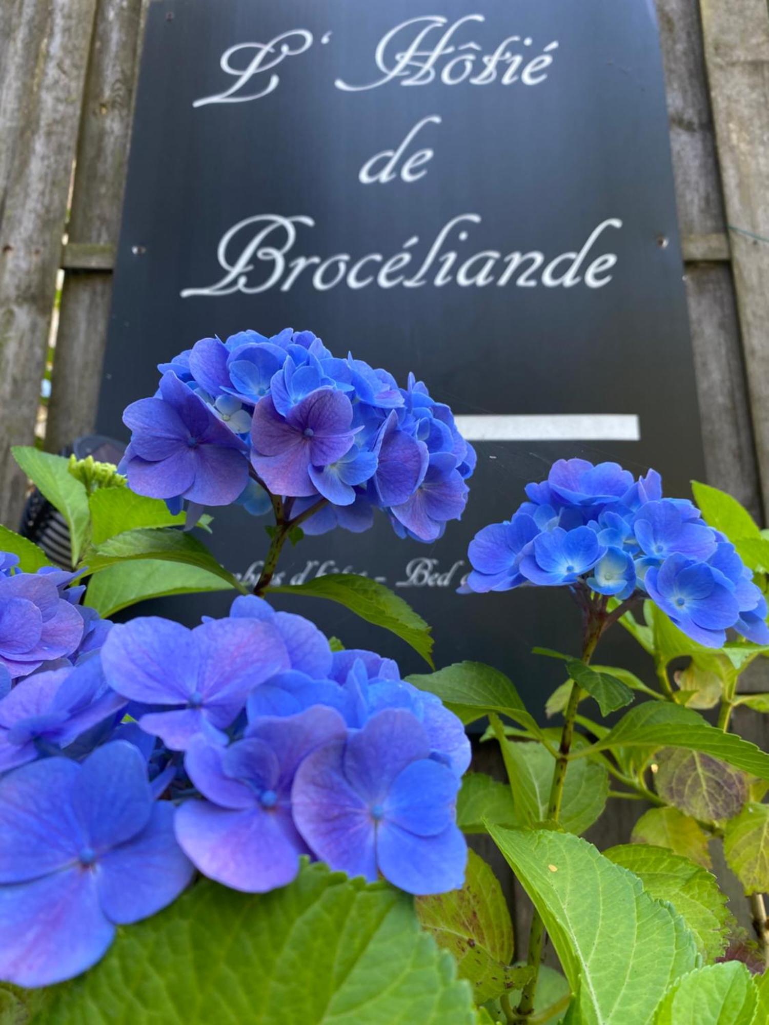 L'Hotie De Broceliande, Au Coeur Des Sites Naturels Et Legendaires Paimpont Exteriér fotografie