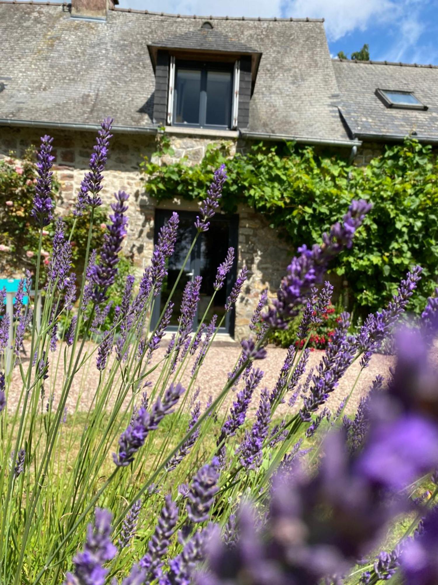 L'Hotie De Broceliande, Au Coeur Des Sites Naturels Et Legendaires Paimpont Exteriér fotografie